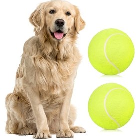 Resim Gajeena "2'li Paket 9.5 İnç Şişme Tenis Topu Seti - Rastgele Renkli Pompa İle Kırmızı/mavi " Yeşil 