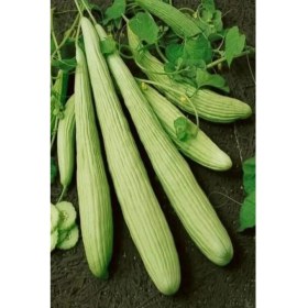 Resim Royaleks Acur Tohumu 10 gr 