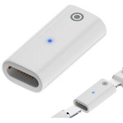 Resim Ally Dişi Lightning To Lightning iOS Uyumlu Pen Kalem Şarj Adaptörü 