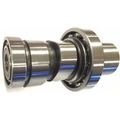 Resim Dylan 150 Eksantrik Mili Moto11 