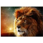 Resim Aslan Kral Notebook Sticker, Laptop sticker,, Hp Sticker, Asus Sticker, 15.6 inç Sticker 