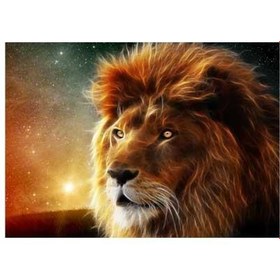 Resim Aslan Kral Notebook Sticker, Laptop sticker,, Hp Sticker, Asus Sticker, 15.6 inç Sticker 