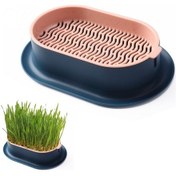 Resim Mufunye Kedi Çimi Ekici Hidroponik Yetiştirme Kiti İç Mekan İçin Topraksız Kedi Nanesi Buğday Çimi B 