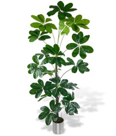 Resim Nettenevime Yapay Ağaç Şeflera 18 Dallı Çalılı Gövde 120x60cm Gümüş Aleminyum Saksıda 