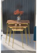 Resim Zigon Sehpa Kr Gold Ceviz Tel 