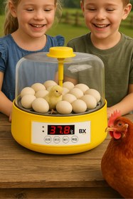 Resim AyrStore Tam Otomatik Ev Tipi Kuluçka Makinesi Isı ve Nem Ayarlı Gün Sayaçlı 