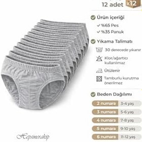 Resim Seher Yıldızı Erkek Çocuk Slip Külot Renkli 12li Paket 