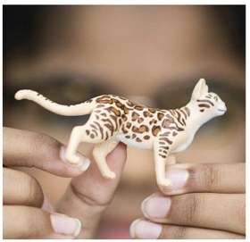 Resim Schleich Bengal Kedisi 13918 