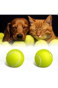 Resim Hype Store 2'li Kedi Köpek Tenis Topu 7.5 cm Orta Boy Dayanıklı Evcil Hayn Oyuncağı Diş Dostu Suda Batmaz Eğiti 