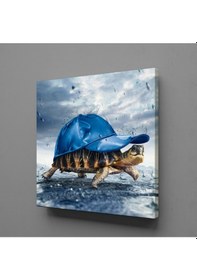 Resim Kaplumbağa Kanvas Tablo 110x110cm 