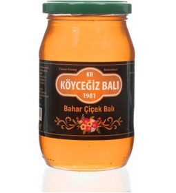 Resim Köyceğiz Balı Bahar Çiçek Balı Cam Kavanoz 450 G 