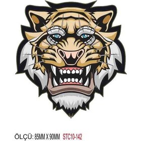 Resim Motorsiklet Otomobil Sticker 2 Adet 138 