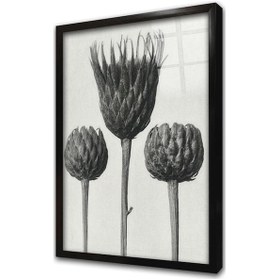Resim Siyah Beyaz Üçlü Çiçek Çerçeveli Cam Tablo-172042 