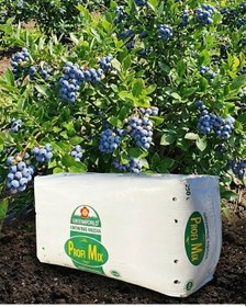 Resim 250 Lt Blueberry Yaban Mersini Torfu Ph 3,5-4,2 Asidik Toprak 