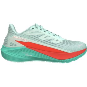 Resim Salomon Aero Blaze 2 Kadın Yeşil Koşu Ayakkabısı 