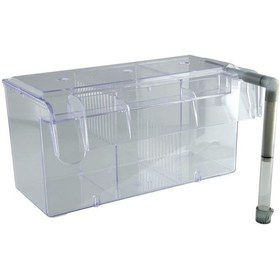 Resim Ista Büyük Yavruluk 