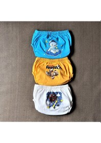 Resim Sızdırmaz Yıkanabilir 3'lü Kombin Sevimli Hayvanlar Alıştırma Külodu 1-2-3-4 Yaş Tuvalet Eğitimi 