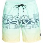 Resim Quiksilver EQYJV04005 Wordblock 17 M Jamv Erkek Şort Mayo 