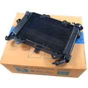 Resim Bajaj Pulsar Ns 200 Radyatör 2014-2024 Uyumlu Kapaksız - Arasmoto 