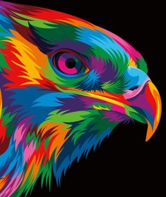 Resim Sayılarla Boyama Seti - Kartal - 60x75 