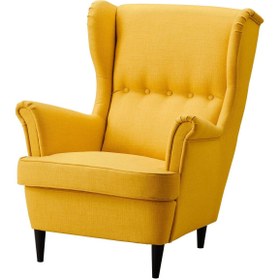 Resim hobiurun Berjer, skiftebo sarı 