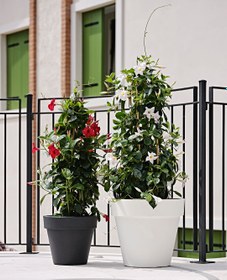 Resim Vaso Standart One 120 Plastik Saksı Antrasit 