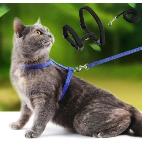 Resim Aesco Kedi Tasması 