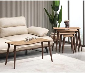 Resim SALSA 4LÜ DÖRTLÜ MDF AHŞAP ZİGON SEHPA VE ORTA SEHPA SETİ - MEŞE 