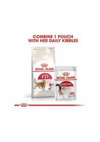 Resim Canin Fıt 32 Kedi Maması, 15 Kg 