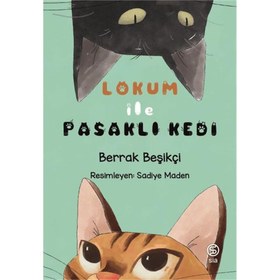 Resim Lokum ile Pasaklı Kedi 