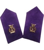 Resim Şafak25 Bando Harici Astsubay Yaka Spolet Arma 