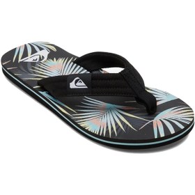 Resim Quiksilver Aqyl101241 Molokai Layback Gri Erkek Terlik 