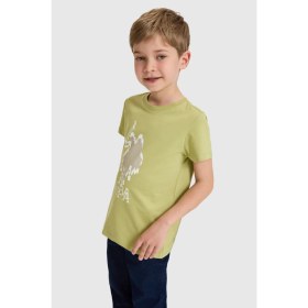 Resim U.s. Polo Assn. Erkek Çocuk Çağla Tişört 50325605-VR016 
