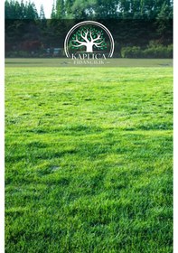 Resim 7 Karışımlı 4 Mevsim Ekilebilen Çim Tohumu 10 Kğ 