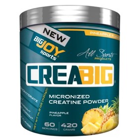 Resim BigJoy Sports Creabig Ananas 420 gr 