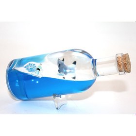 Resim River World Seri B Batmayan Gemi Şişenin İçinde 