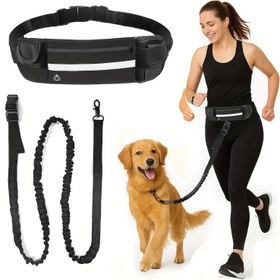 Resim 1 Adet Fermuarlı Kemer Çantası ile Eller Serbest Köpek Tasması, Çift Yastıklı Saplar ve Dayanıklı Bungee, Gezme Koşma Eğitimi için Evcil Hayvan Çekiş Halatı 
