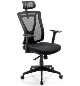 Resim Dekofis Goldsit Ergonomik Yönetici Koltuğu 