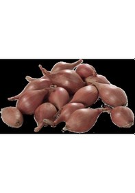 Resim Yerli Arpacık Soğan 3 Numara 500 GR 