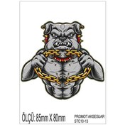 Resim Motorsiklet Otomobil Sticker 2 Adet 013 