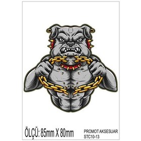 Resim Motorsiklet Otomobil Sticker 2 Adet 013 