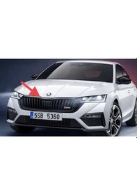 Resim Skoda Octavia 2021 Sonrası Panjur Çerçevesi Siyah 