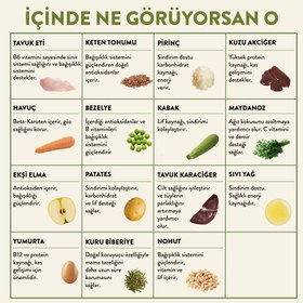Resim Kuzu Etli Yetişkin Mini Irk Köpek Maması 2.5 KG + 6 Adet Kito Fresh Tavuk Etli %100 Taze İçerikli Mama 
