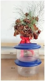 Resim Tupperware Kristalin Kase Gece Mavisi 450 Ml X2 Adet 