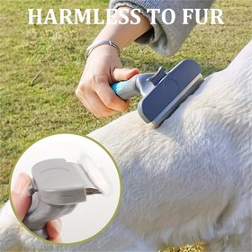 Resim Evcil Hayvan Tüylerini Anında Ortadan Kaldırın - Köpekler ve Kediler için En İyi Evcil Hayvan Bakım Aracı! 