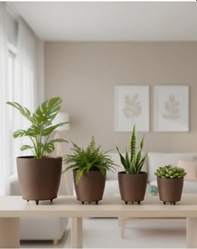 Resim 4lü Vazo Kahverengi Renkli 