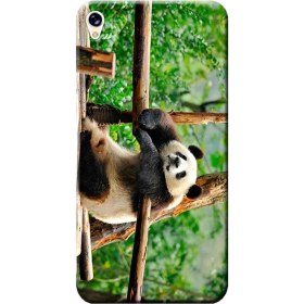 Resim Ceppare Asus Zenfone Live Kılıf ASUS_A007 ZB501KL 5.0inç Baskılı Silikon Kapak Panda STK:181 