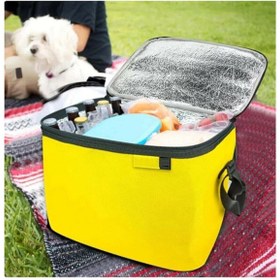 Resim HerEveOyuncak Termos Çanta - Piknik Çantasıı Buz Aküsü Hediyeli 24LT (ZR) 