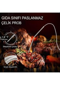 Resim ThermoPro TP-06B Dijital Et Termometresi 