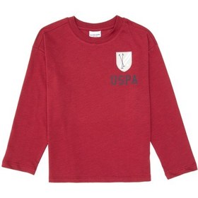 Resim U.S. Polo Assn. Erkek Çocuk Koyu Frambuaz Bisiklet Yaka Süprem Sweatshirt 50316516-VR104 